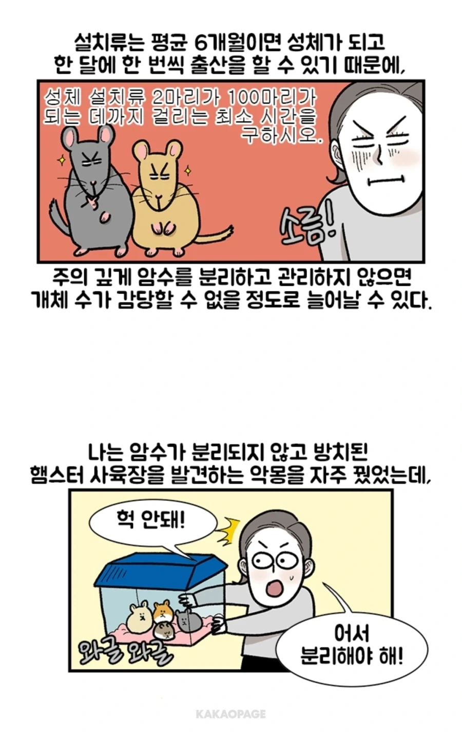 유머 619 페이지 | TOONZIP 이미지 14