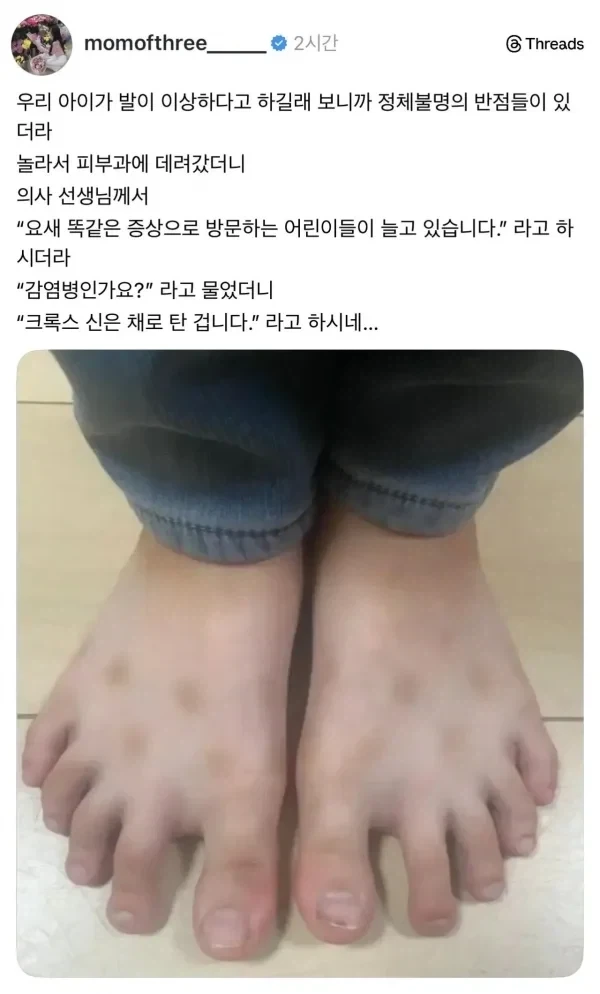 유머 618 페이지 | TOONZIP 이미지 12
