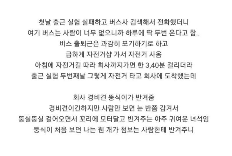 길 잃을까봐 미리 출근 연습한 사람_3.webp
