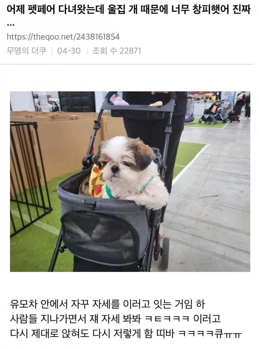 유머 615 페이지 | TOONZIP 이미지 10