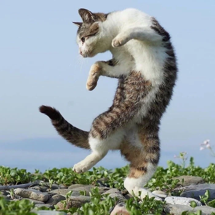 몇시간 후면 주식 장이 열려요!_1.webp