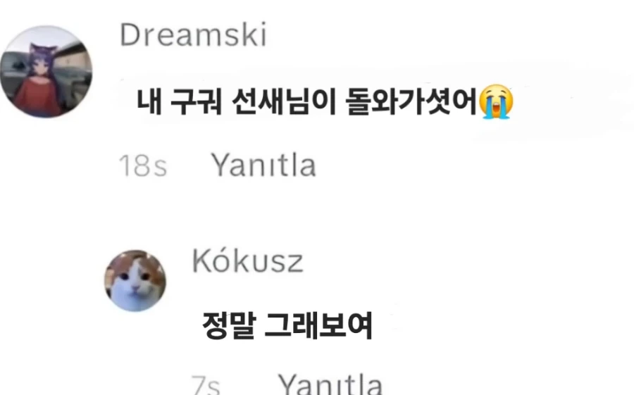 국어 선생님_1.webp