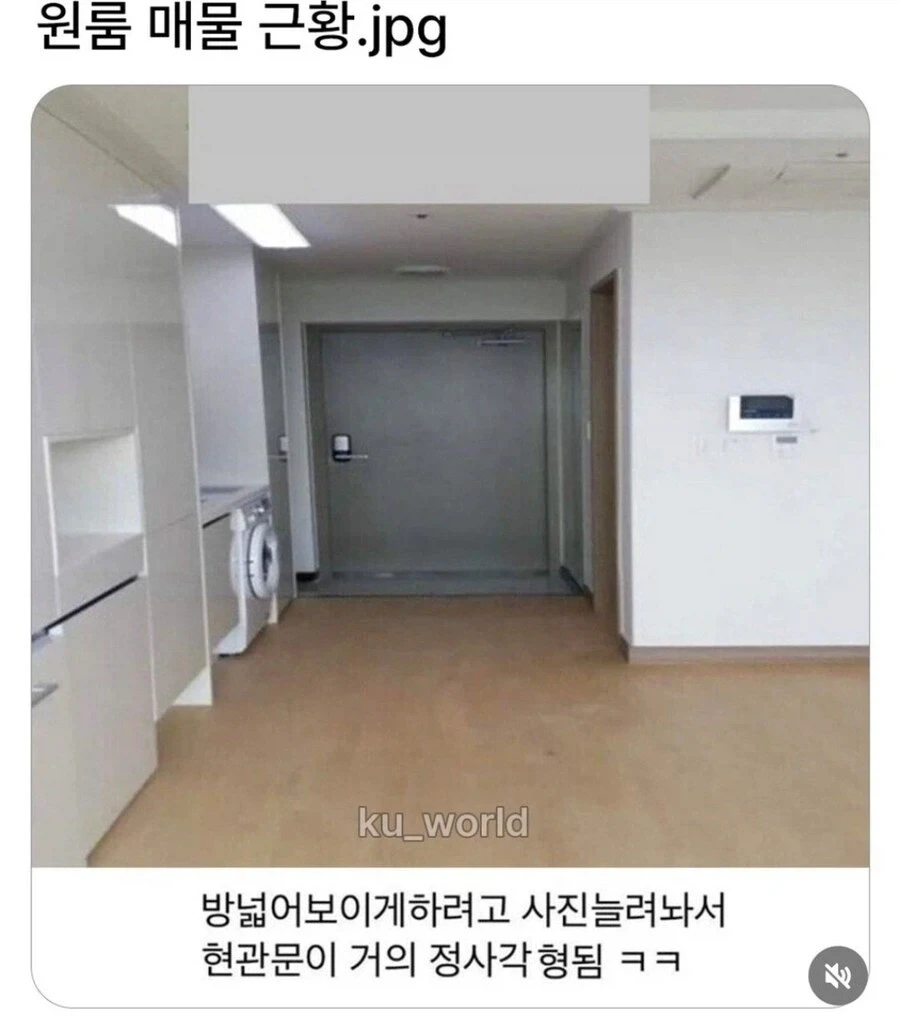 헛웃음만 나오는 부동산 사진_1.webp