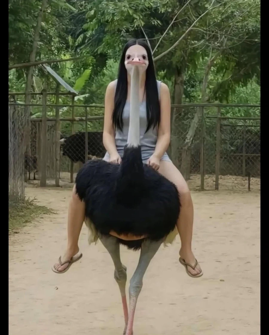 망한 여친사진 전국대회 출품작.jpg_11.webp
