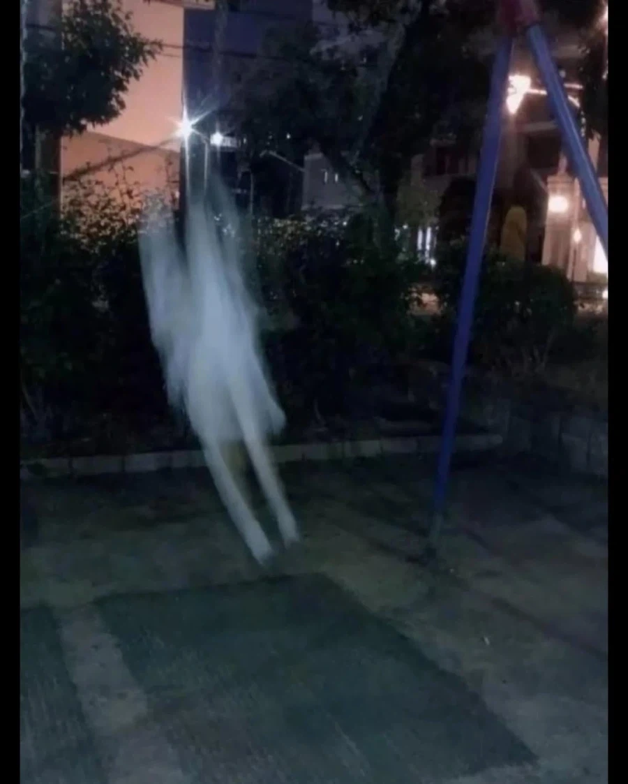 망한 여친사진 전국대회 출품작.jpg_13.webp