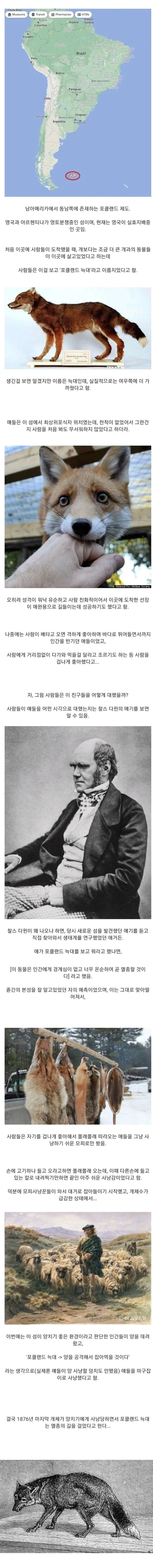 인간을 잘 따르던 동물의 결말_1.webp