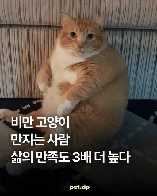 삶의 만족도를 3배 높이는 꿀팁_1.webp