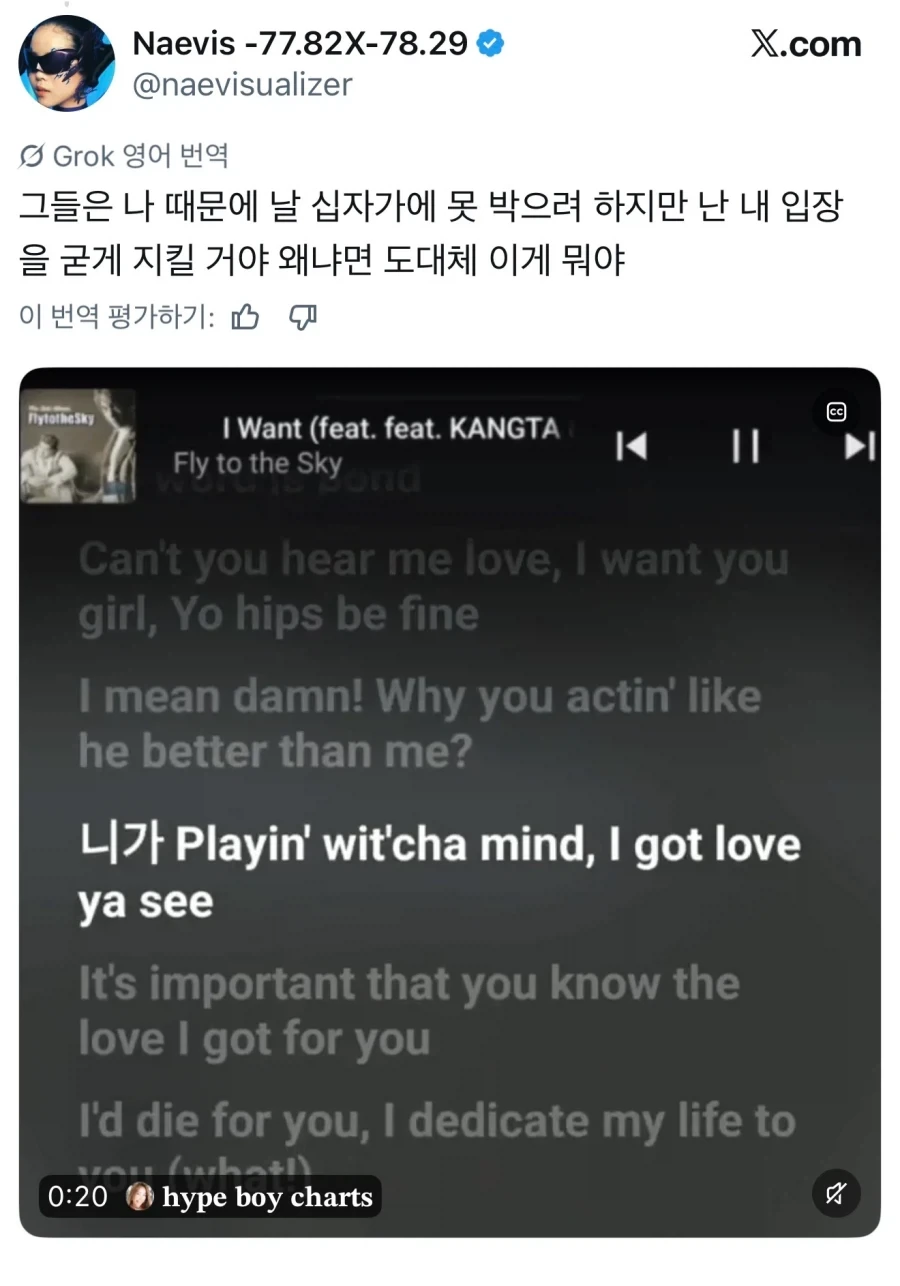 아무리 봐도 nigger대신 니가를 넣은거 같은 노래_2.webp