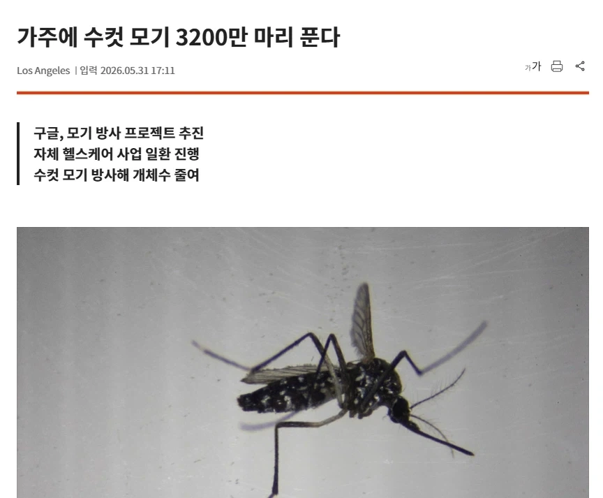 캘리포니아에 수컷 모기 3200만 마리 푸는 구글.jpg_1.webp