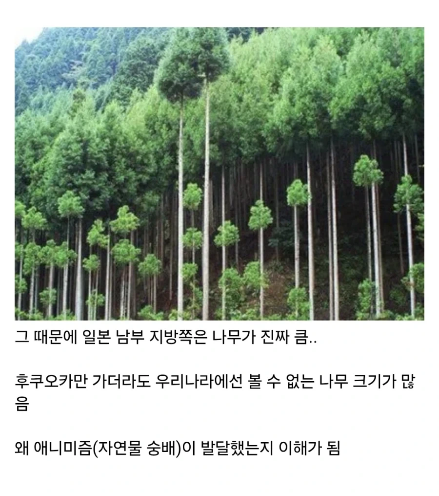 일본 지방여행 가면 의외로 공포스러운 것.jpg_3.webp