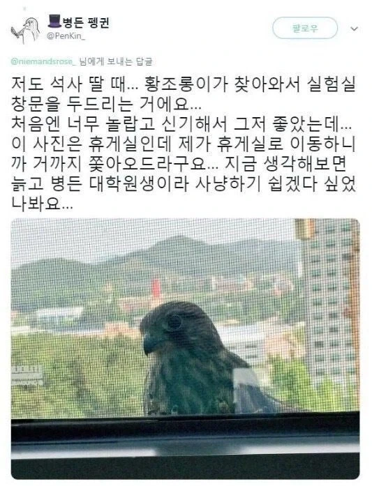 조류도 인정하는 사냥감_1.webp