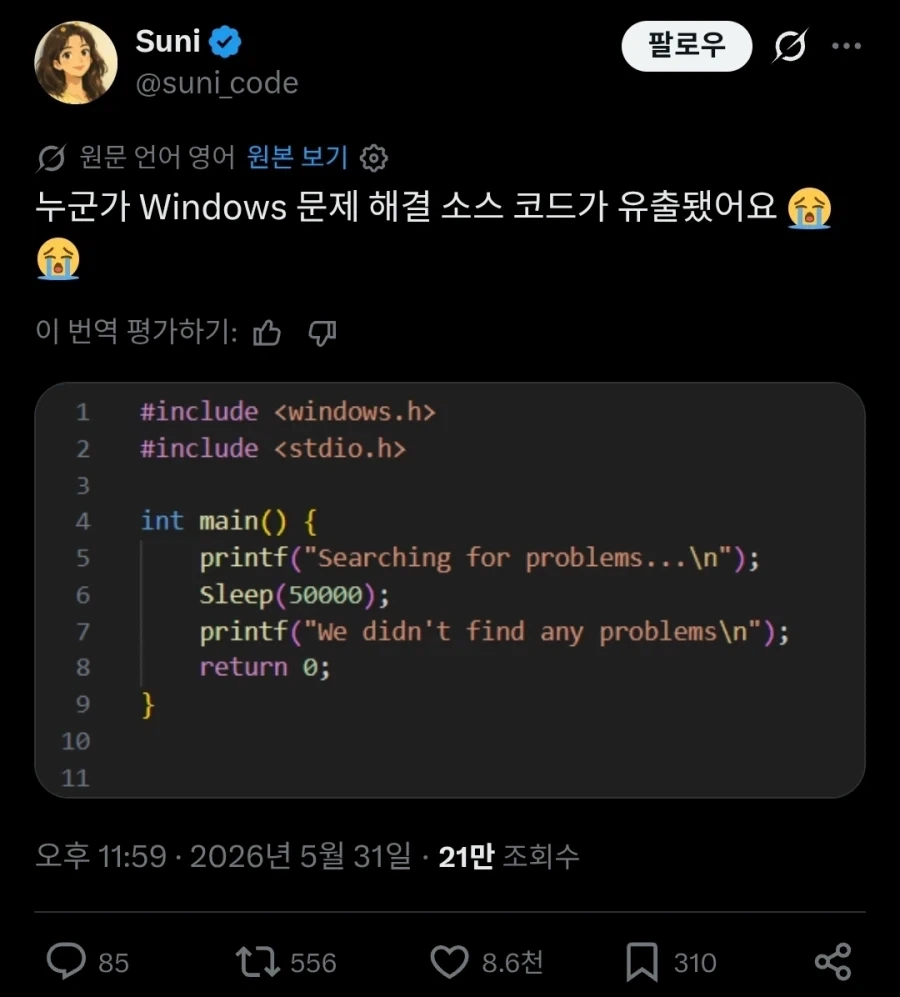 "누군가가 윈도우 문제해결 소스 코드를 유출했어요!" 대표 이미지