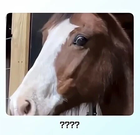 전신 문신충을 본 말의 반응_3.webp