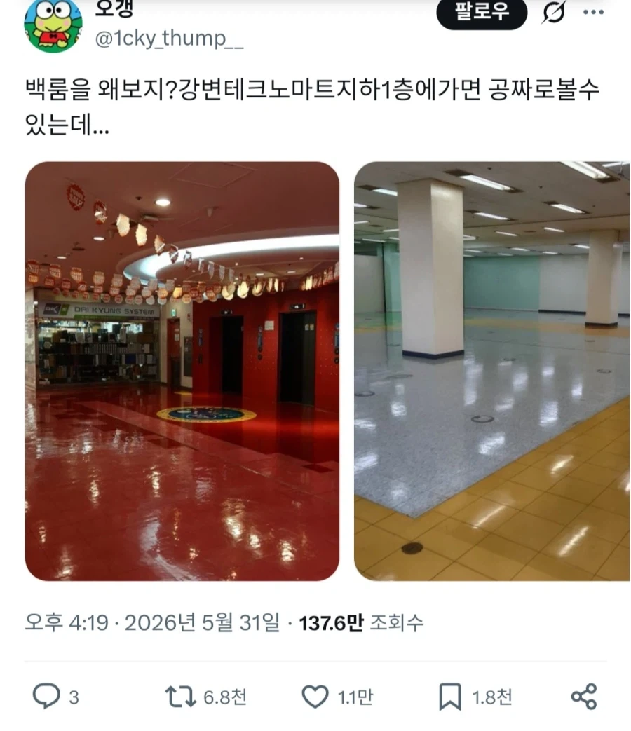 "백룸 영화를 왜 보지?" 대표 이미지