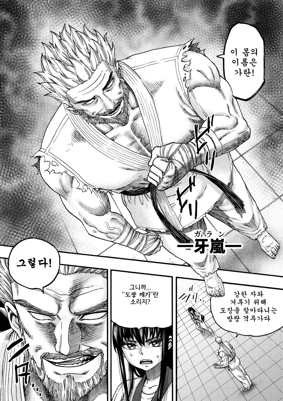 도장깨기에 맞서는 태권소녀.mamga_4.webp
