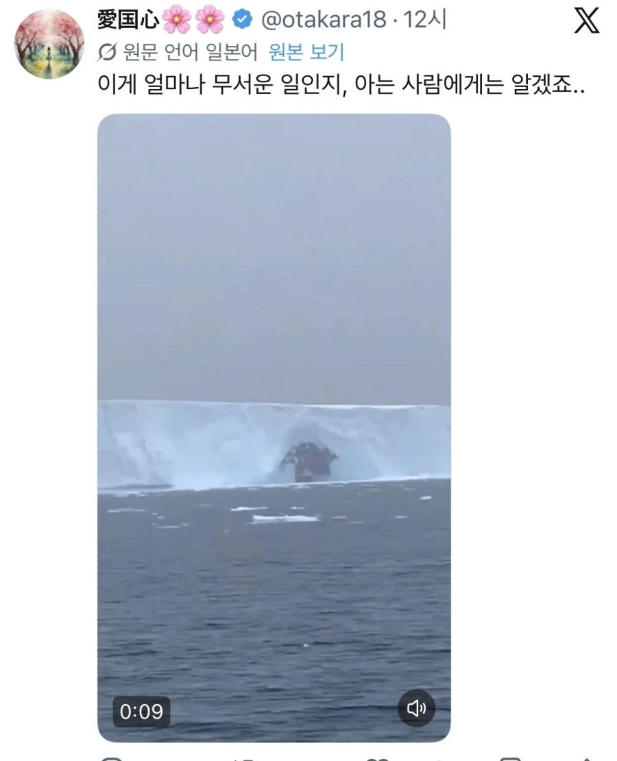 이해하면 무서운 사진_1.webp