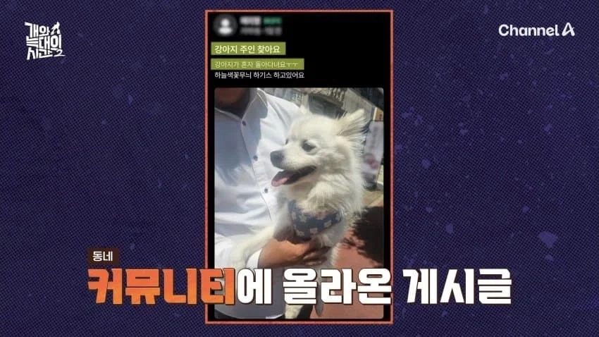 말 잘듣는 애니멀호더_4.webp