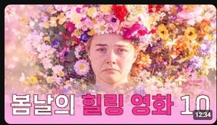 유튜버가 약판다!!!_1.webp