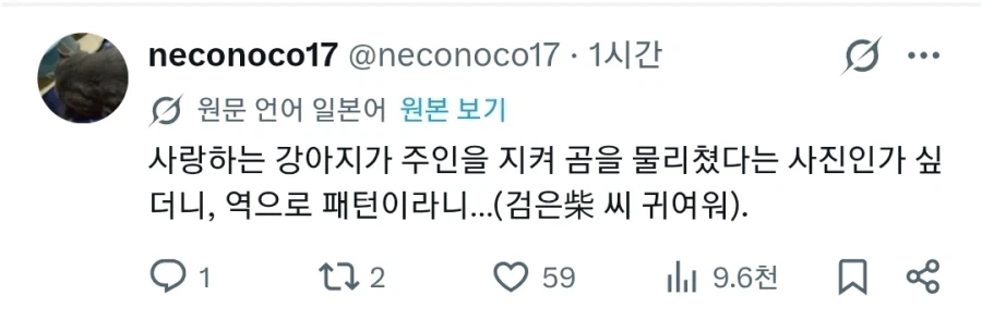 일본에서 일어난, 곰으로부터 주인을 지킨 반려견 이야기_2.webp