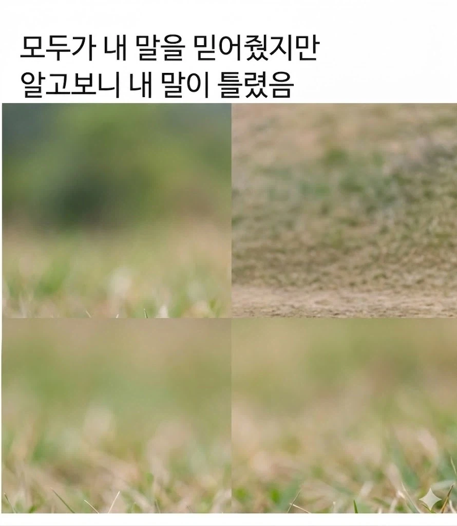 모두가 아니라고 햇지만 내말이 맞았음의 반대 버전_1.webp