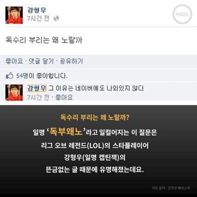 독수리의 부리는 왜 노란색일까.jpg_2.jpg