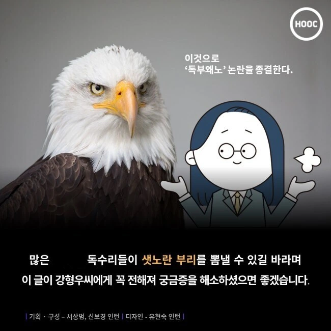 독수리의 부리는 왜 노란색일까.jpg_7.jpg