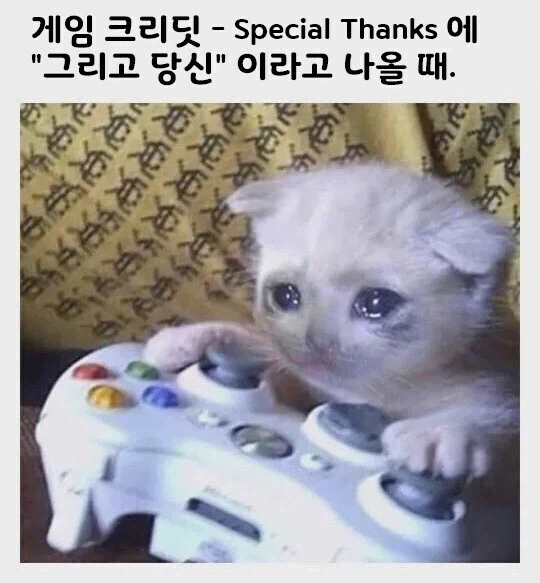 어렸을 때부터 게임에 빠지는 이유_2.webp