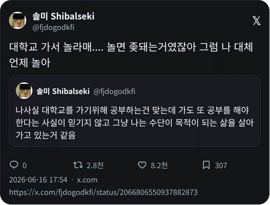 대학 가면 놀 수 있어_2.webp