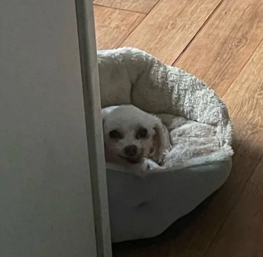 ???:멍청한 쮸인님 ㅋㅋㅋㅋㅋ_1.webp
