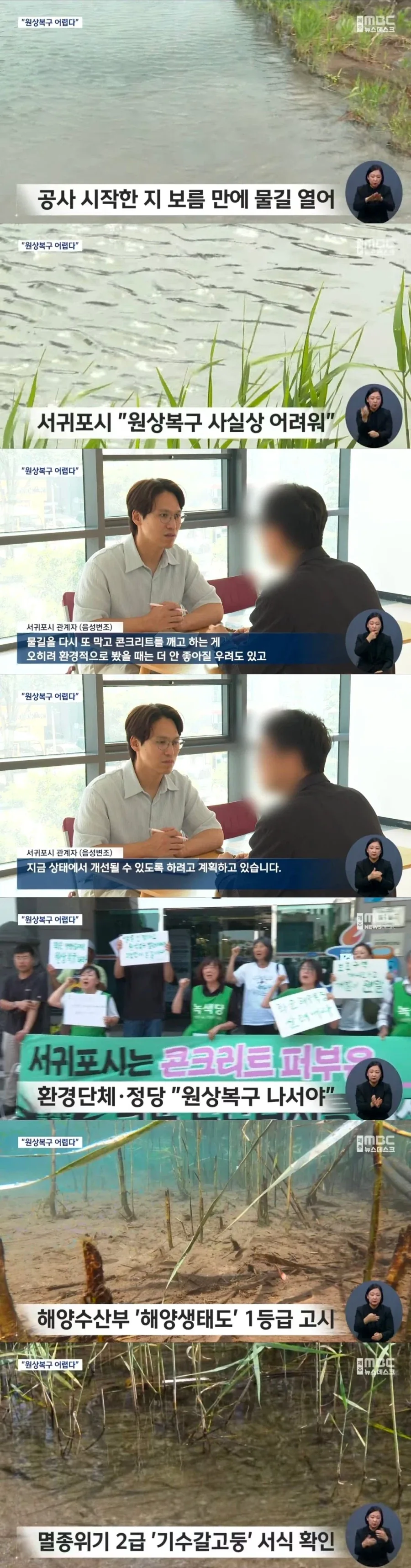 제주 하천에 공구리 친이유....._1.webp