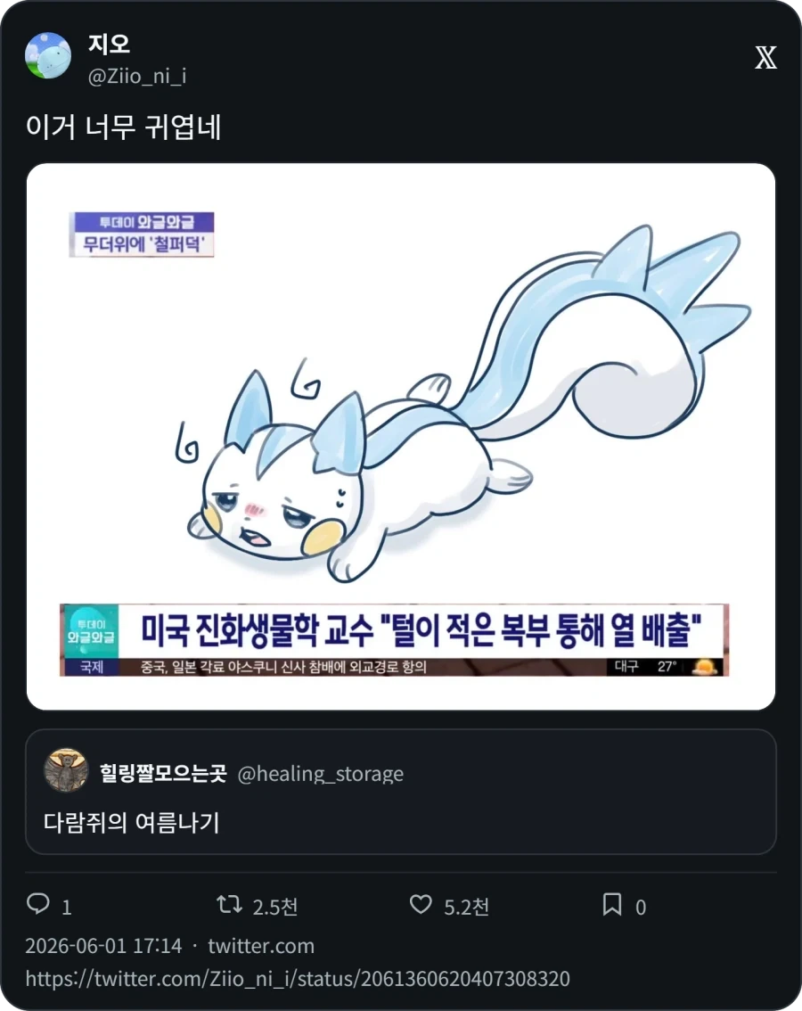 다람쥐의 여름나기_2.webp