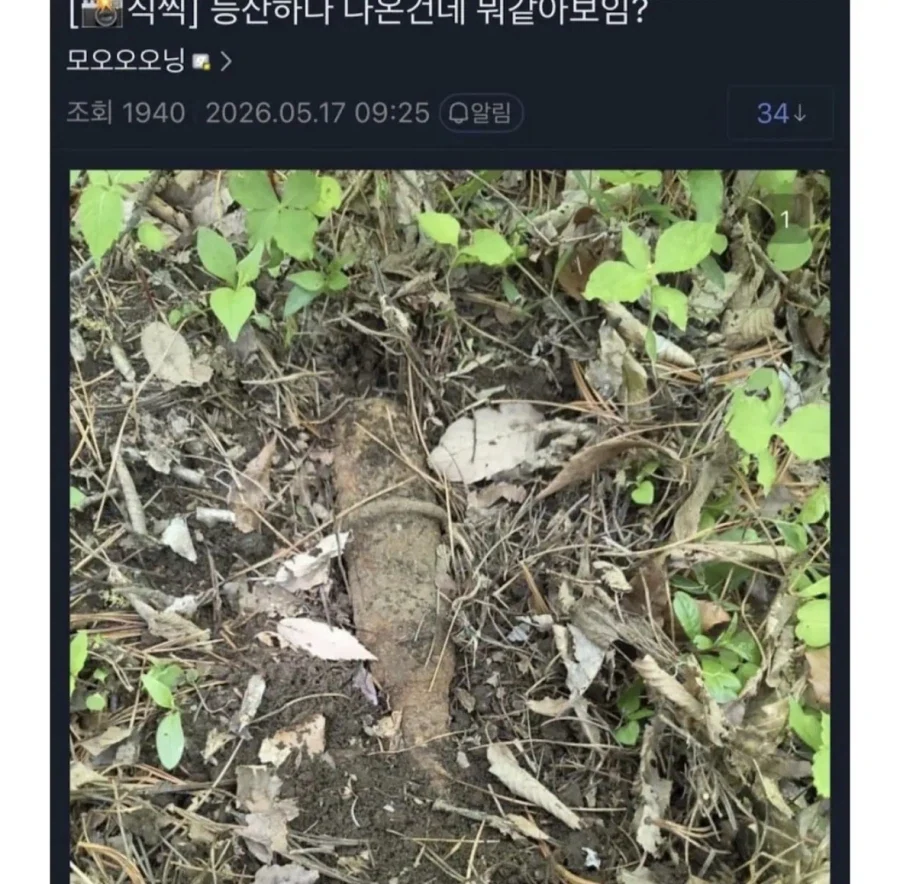 등산하다 이상한걸 발견한 디씨인_1.webp