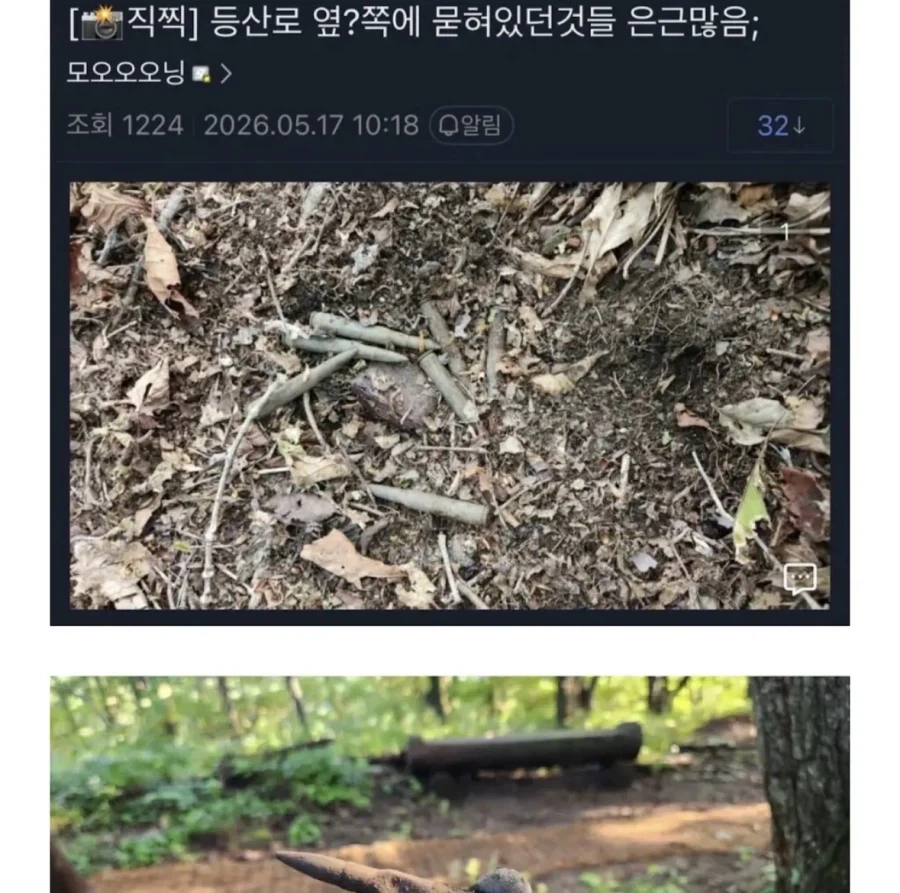 등산하다 이상한걸 발견한 디씨인_4.webp