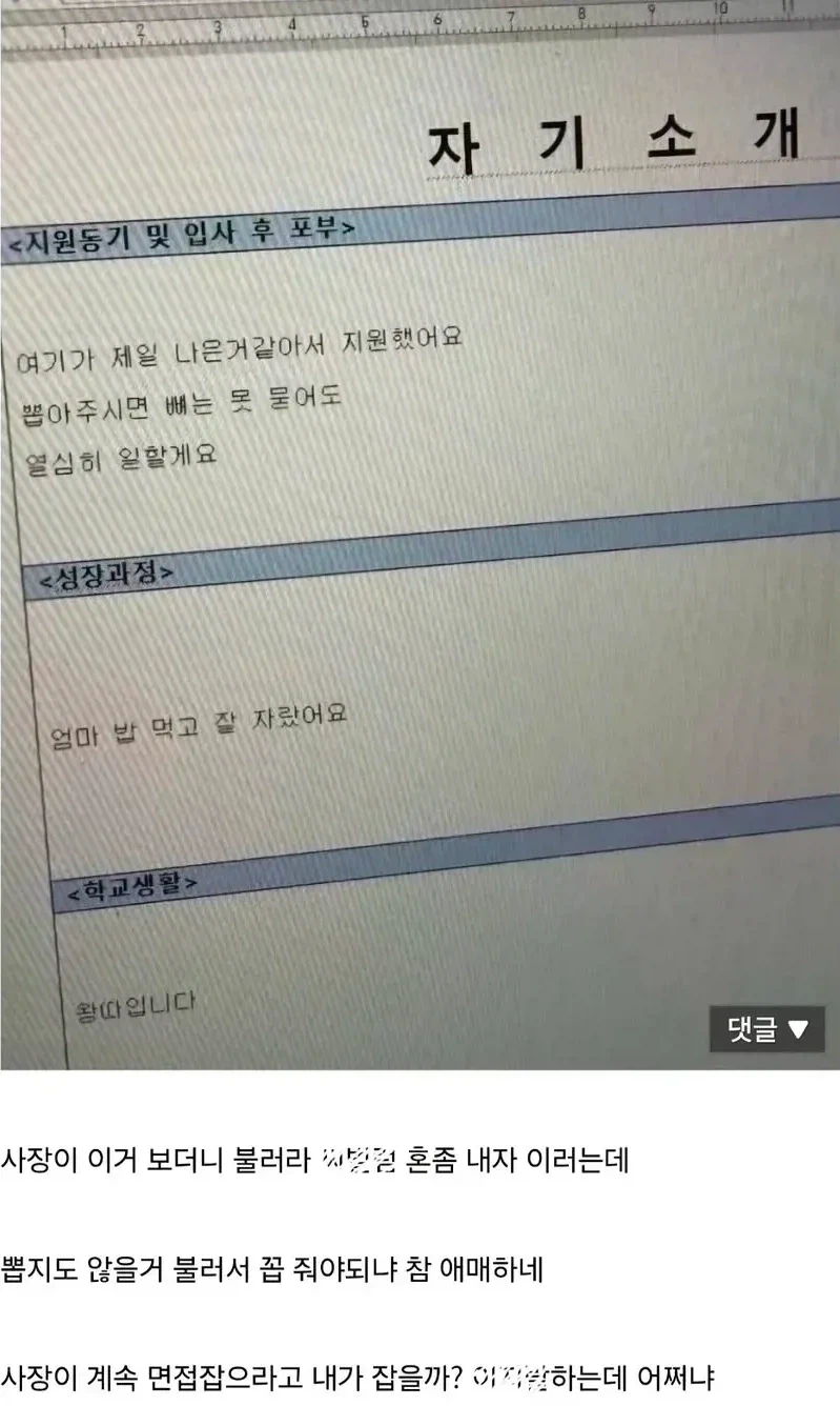입사 지원서 보고 빡친 사장.jpg_1.webp