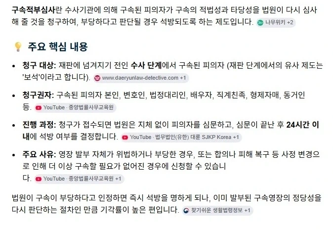 ‘김수현 명예훼손’ 김세의 구속적부심 신청 결과_2.webp