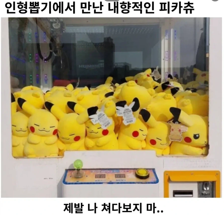 내향적인 피카츄_1.webp