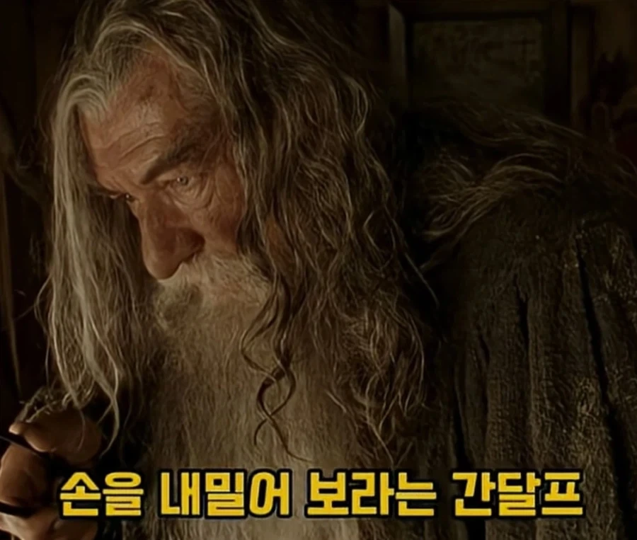 반지) 프로도 손 좀 빌려주겠니?_5.webp