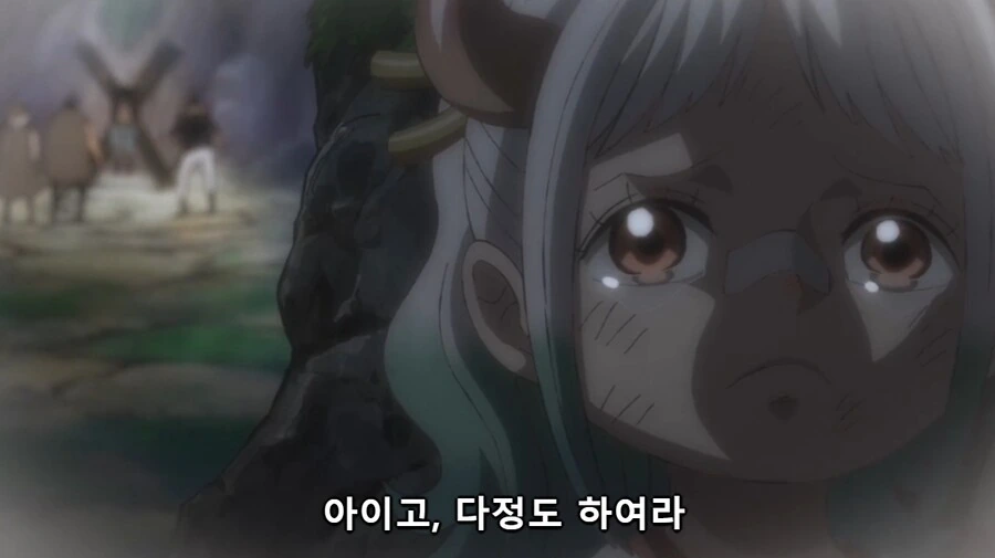 원피스) 카이도 자식농사 실패는 결국 밈이긴 해_11.jpg
