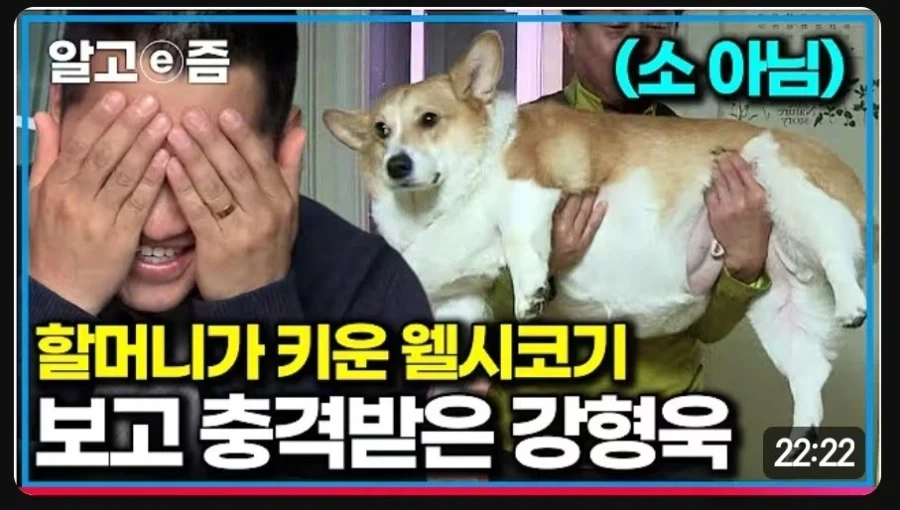 강형욱도 경악하게 만든 할머니의 웰시 코기_1.webp