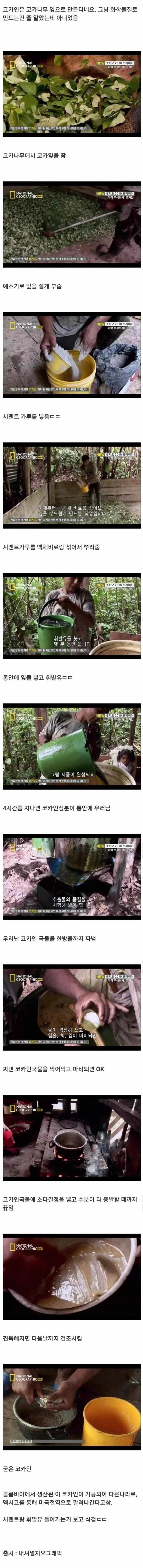 [보약] 한국 젊은이들이 좋아하는 천-연 재료로 만든 자연산 보약 제조과정_2.webp