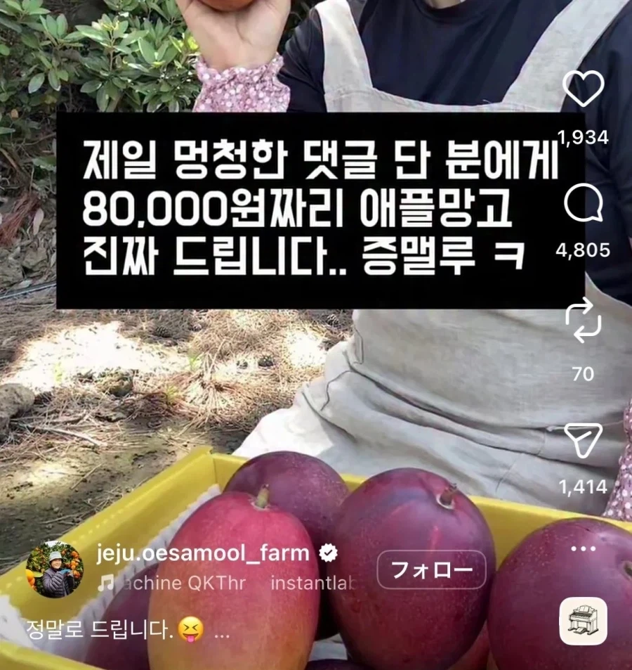 제일 멍청한 댓글을 다신 분에게 애플망고를 드립니다_1.webp