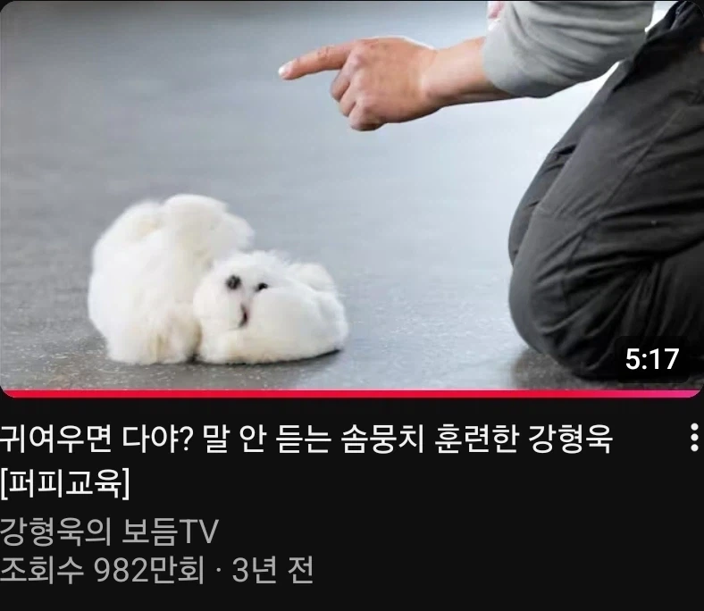 도저히 지나칠 수 없던 썸네일_1.webp