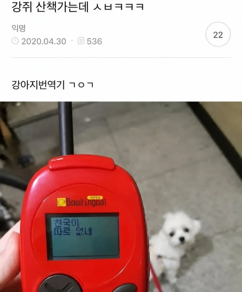 싱글벙글 강아지어 번역_1.webp