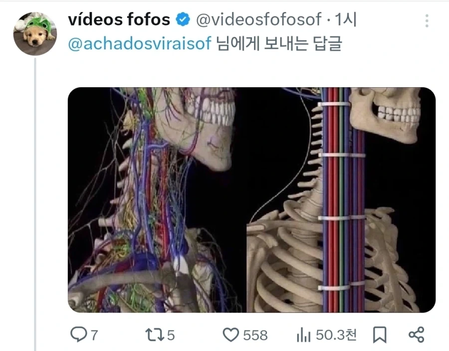 우문현답_2.webp