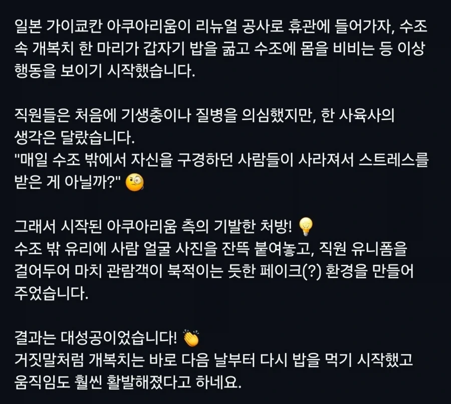 이상행동을 보이던 개복치를 치료한 방법_1.webp