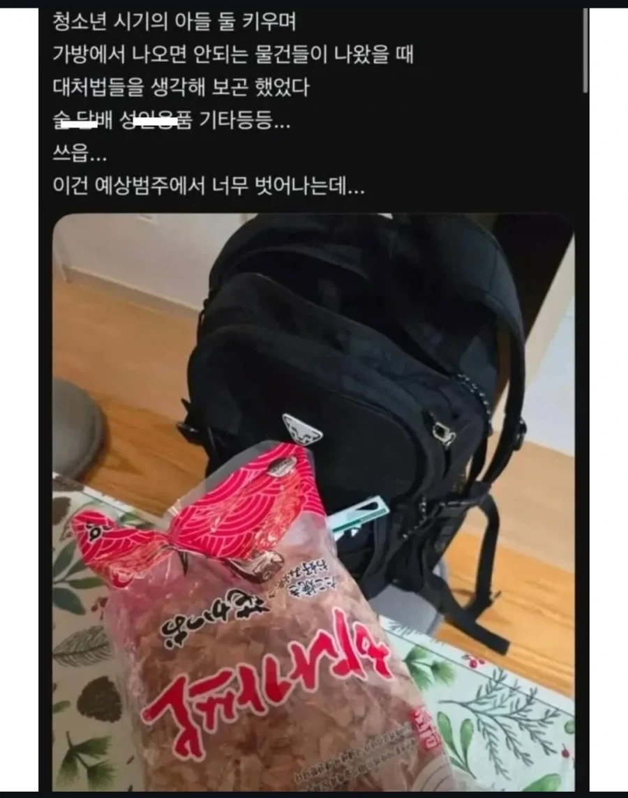사춘기 아들 가방에서 예상치 못한게 나왔다_1.webp