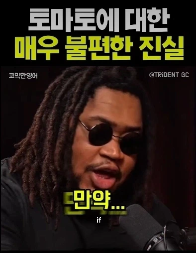 만약 토마토가 과일이라면..._1.webp