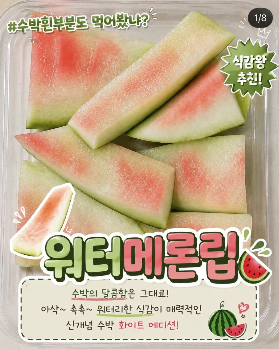 인스타에서 최신 유행중인