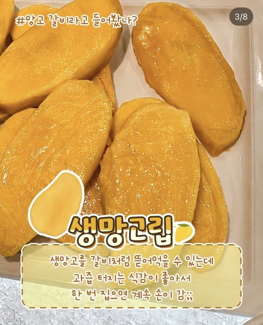 인스타에서 최신 유행중인