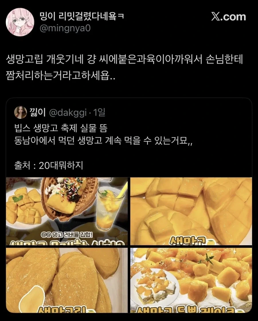 인스타에서 최신 유행중인